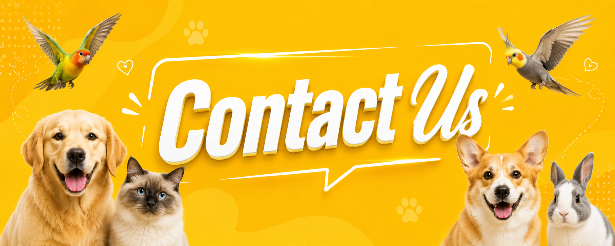 Contact Banner