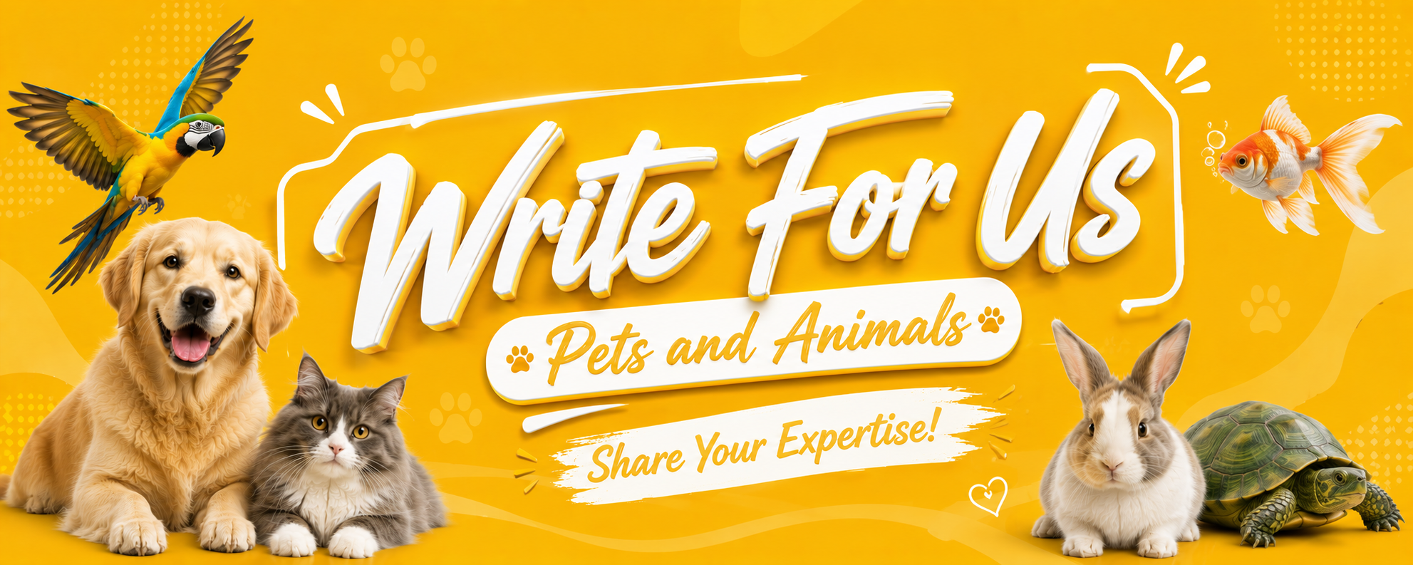 Write For Us Banner
