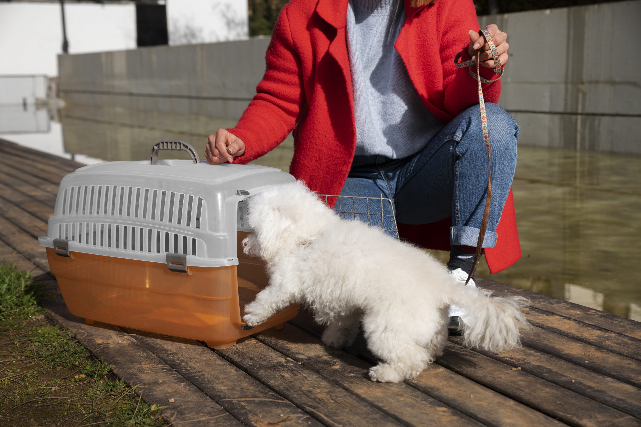 Crate Training for Puppies