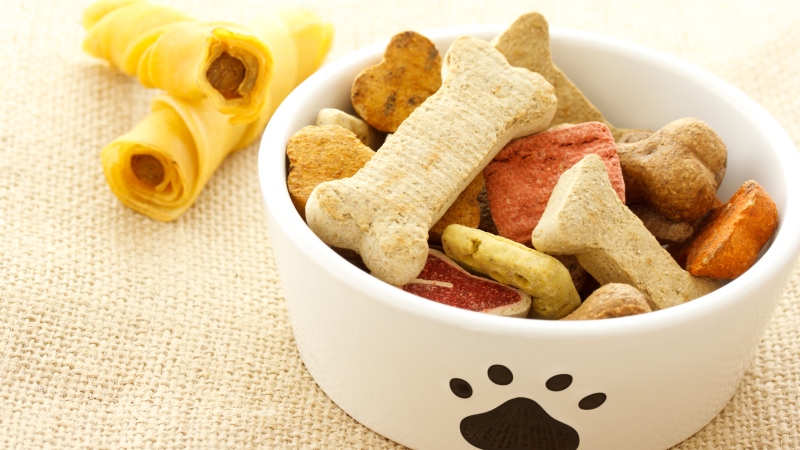 Low Calorie Dog