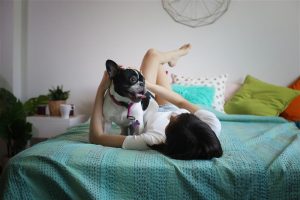 Common Behaviors of a Female Dog in Heat