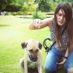 Understanding Resource Guarding in Dogs Causes, Symptoms, and How to Manage It