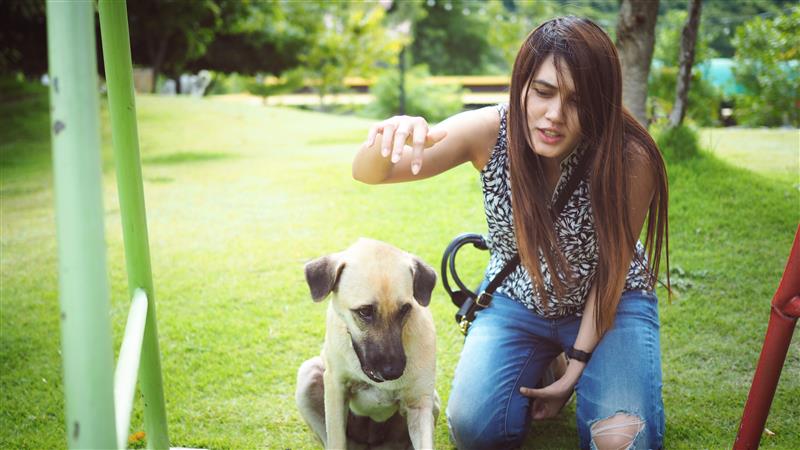 Understanding Resource Guarding in Dogs Causes, Symptoms, and How to Manage It