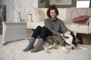 How to Manage a Female Dog in Heat