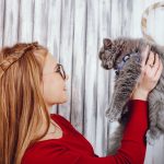 how-to-become-a-cat-breeder