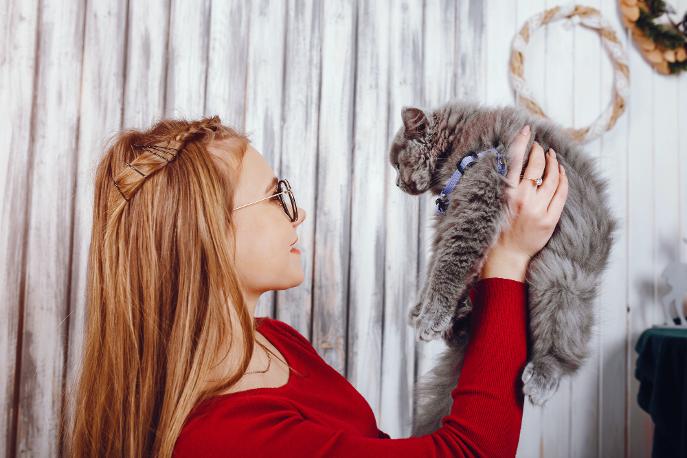 how-to-become-a-cat-breeder