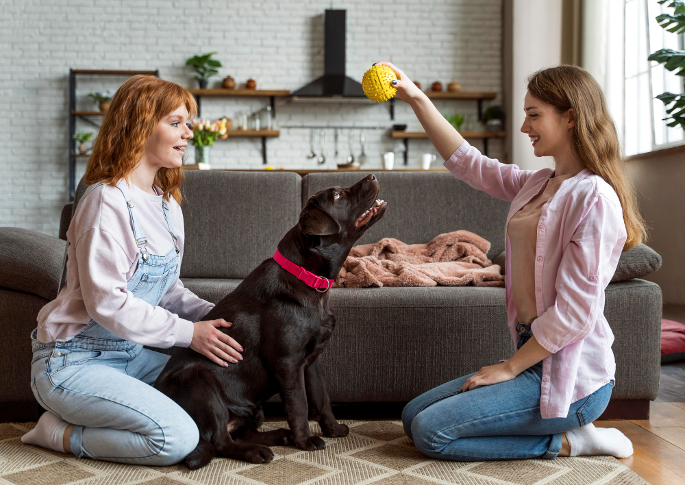 what-is-the-best-flea-treatment-for-dogs