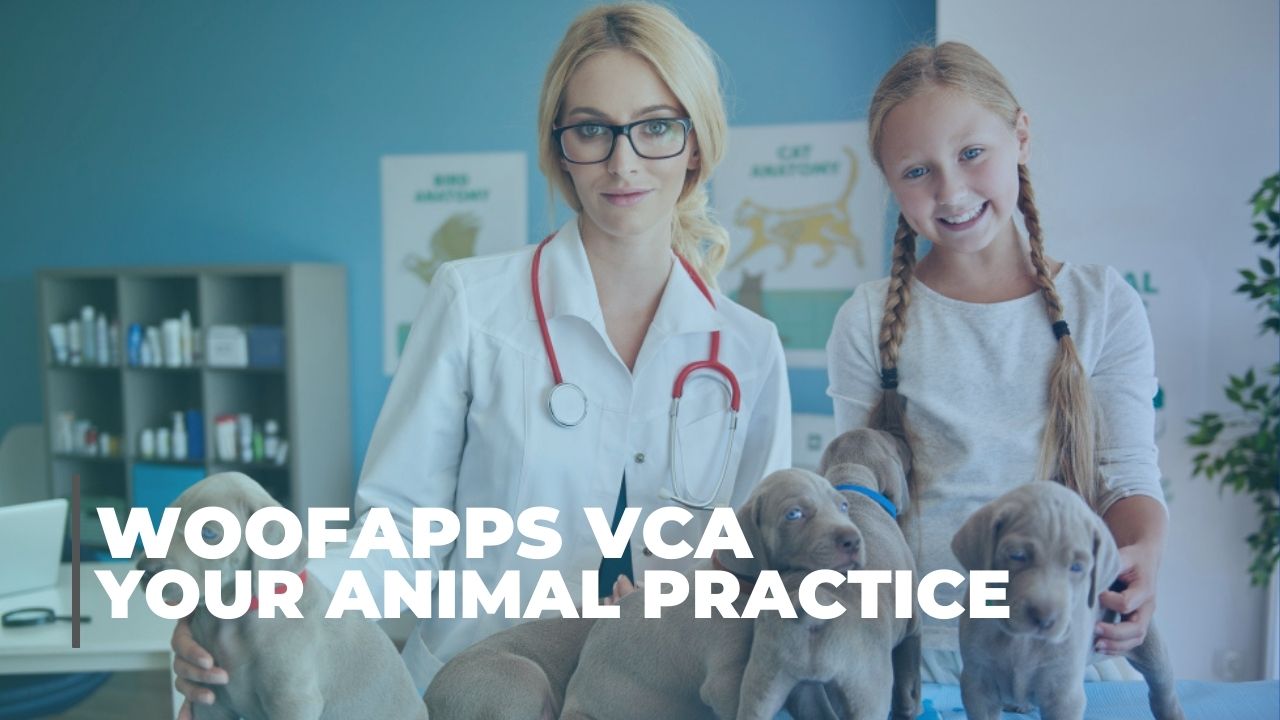 woofapps-vca-in-your-animal