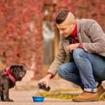 from-puppies-to-seniors-domitail-redefines-everyday-nutrition-for-dogs-at-every-life-stage