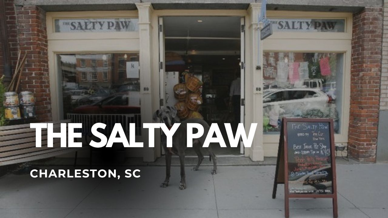 The Salty Paw – Charleston, SC