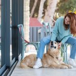 the-complete-guide-to-choosing-the-right-pet-door-for-your-home
