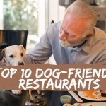 top-10-dog-friendly-restaurants
