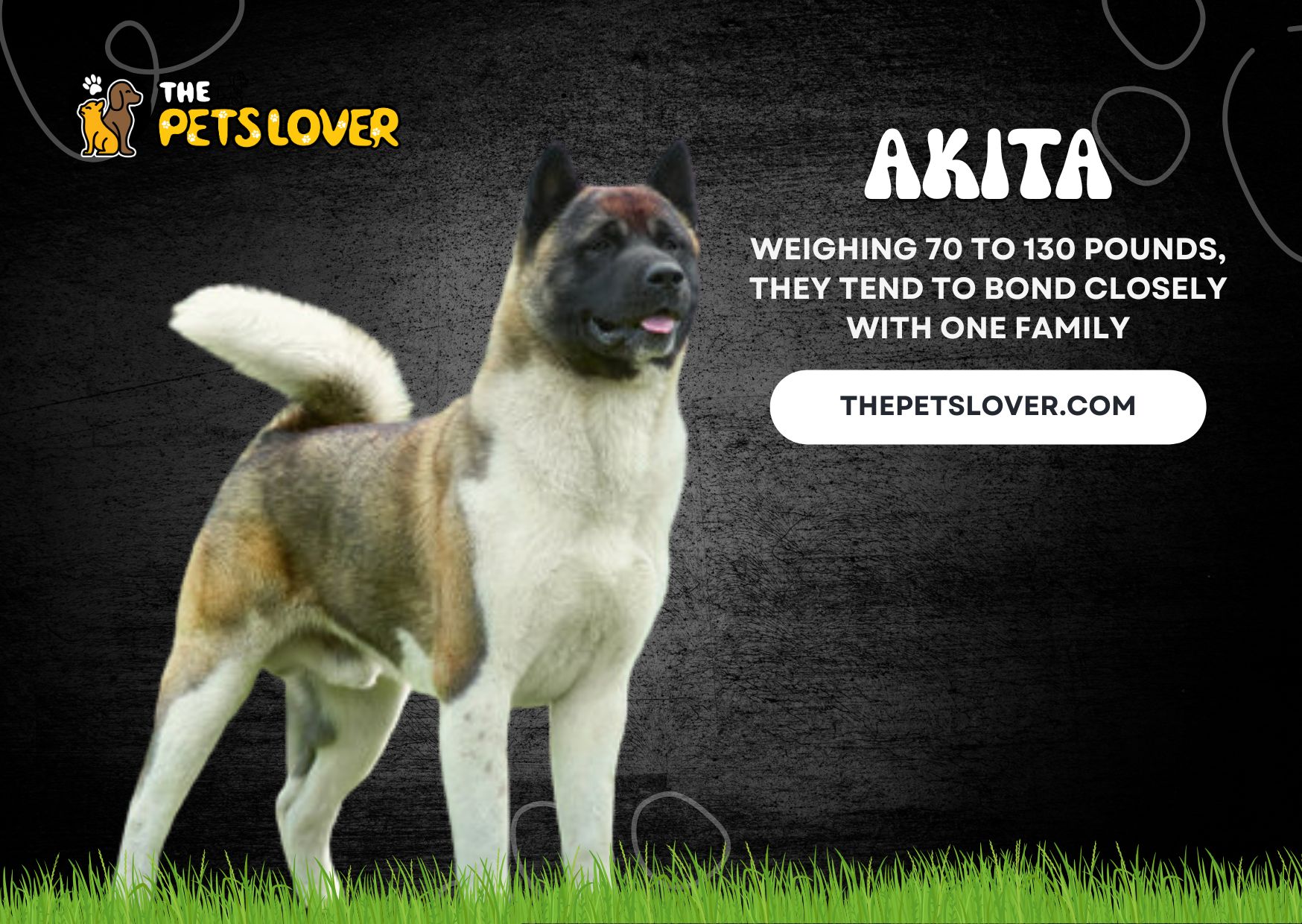 Akita