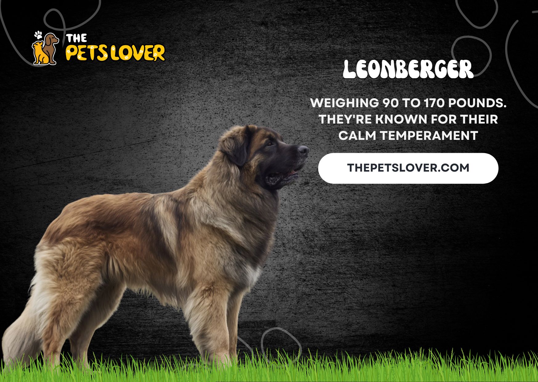Leonberger