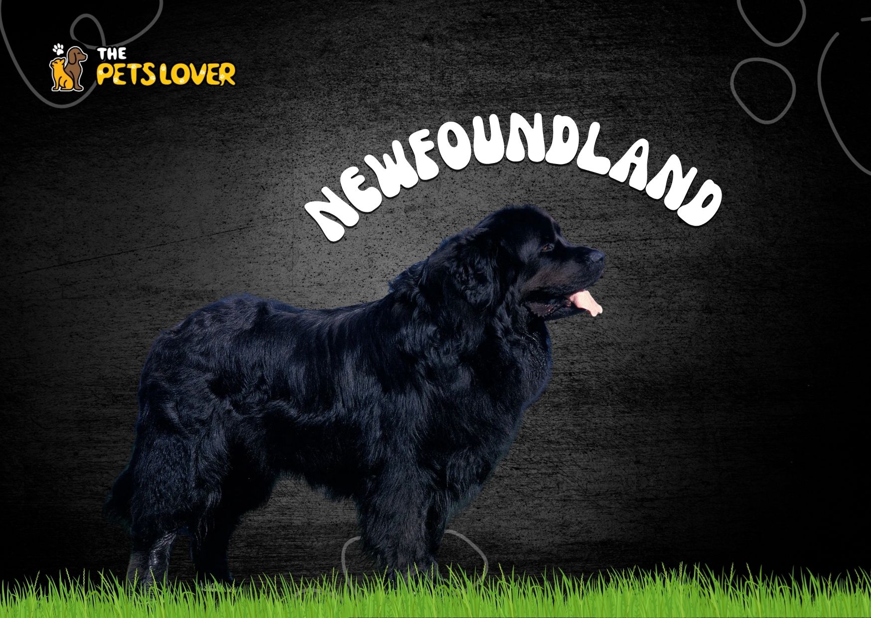 Newfoundland