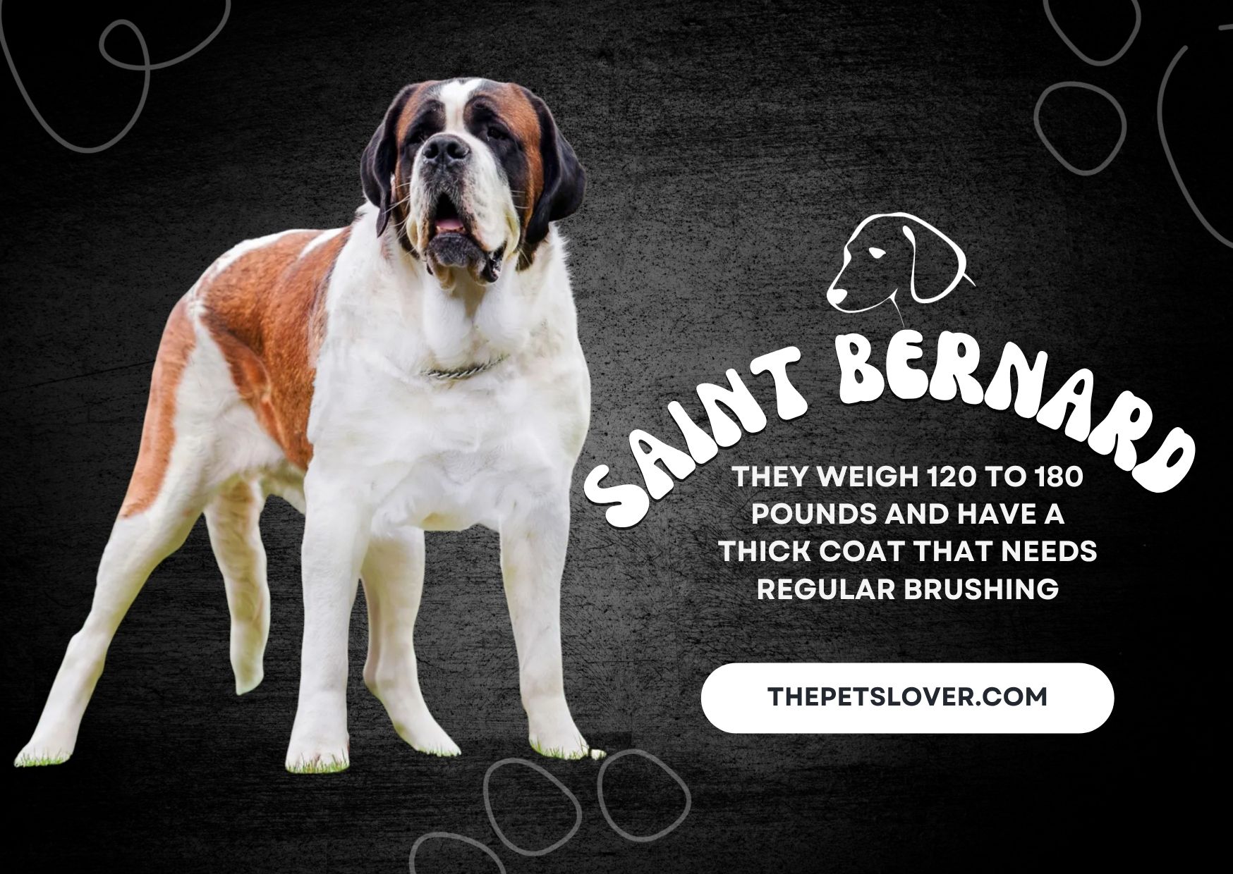 Saint-Bernard