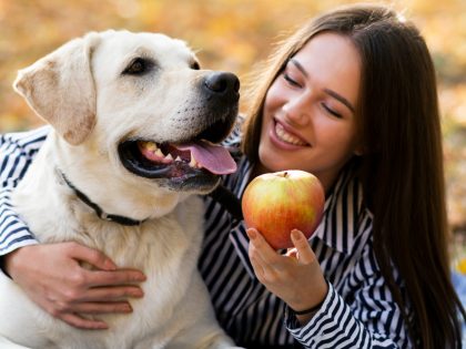 apple-of-their-eye-why-your-dog-will-go-nuts-for-these-crunchy-appley-treats