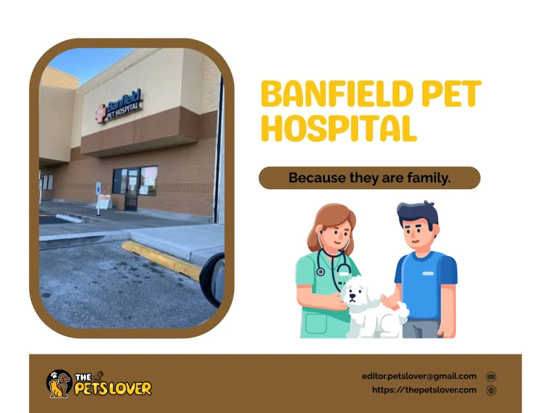 banfield-pet-hospital