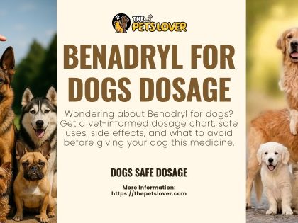 benadryl-for-dogs