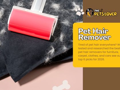 best-pet-hair-remover-in-2026