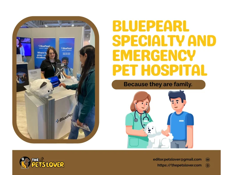 bluepearl-specialty-and-emergency-pet-hospital