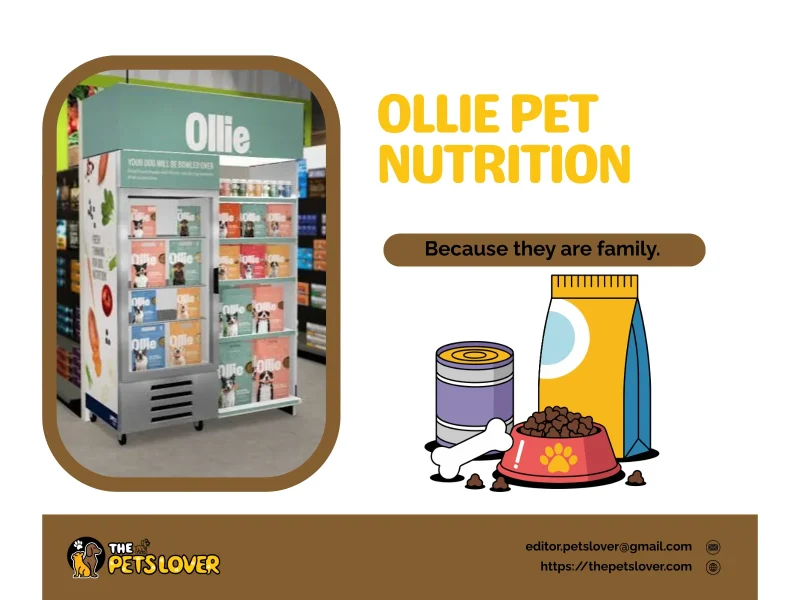 ollie-pet-nutrition