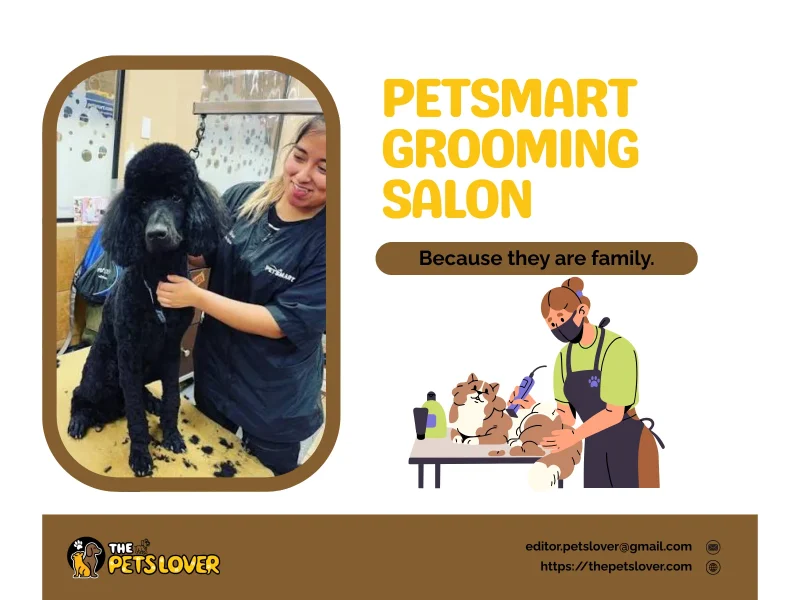 petsmart-grooming-salon