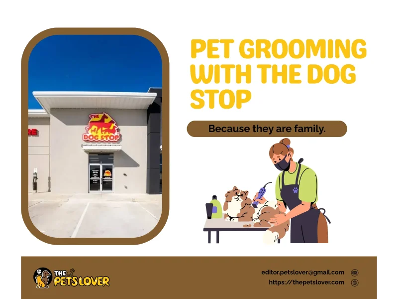 the-dog-stop