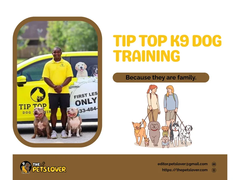 tip-top-k9-dog-training