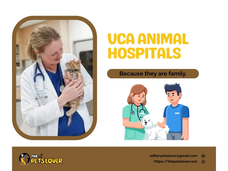 vca-animal-hospitals
