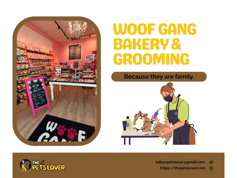 woof-gang-bakery-grooming