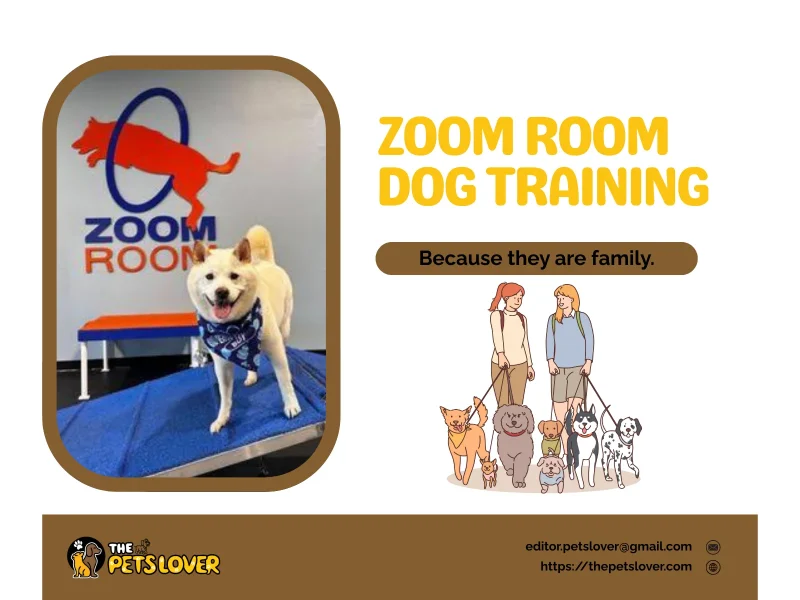 zoom-room-dog-training